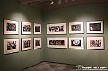 VBS_6699 - Mostra 'Miró- L'Arte della Meraviglia e Munch - I colori dell’anima'